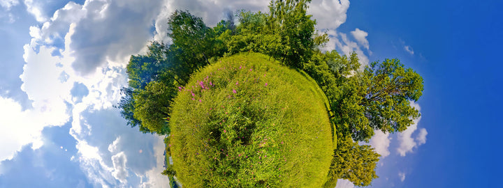 Everyday is Earth Day